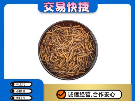 安庆市大观高价回收散虫草